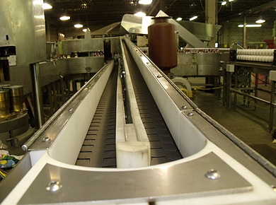 Custom Stainless Steel Conveyor