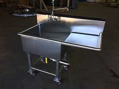 Custom Sanitary Sink